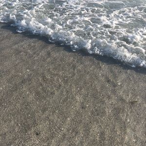 Meet your Posher, Elsa